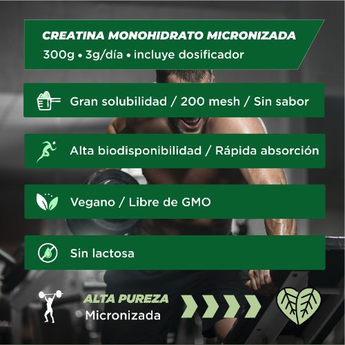 Pack Creatina Monohidratada 2KG + Shaker 400ml - Foodelis Nutrition